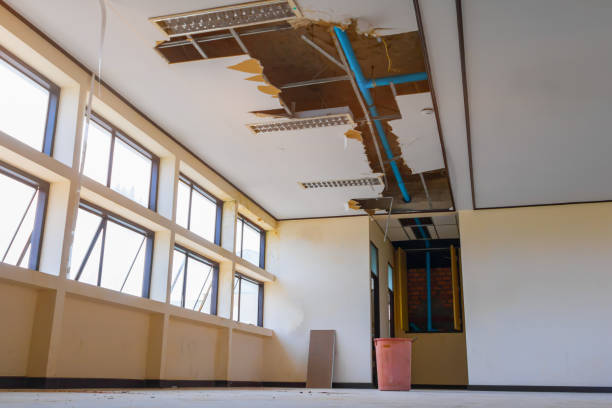 Best Flood restoration services  in Shelburn, IN
