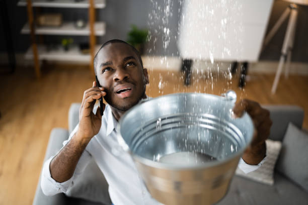 Best Water damage restoration company  in Shelburn, IN