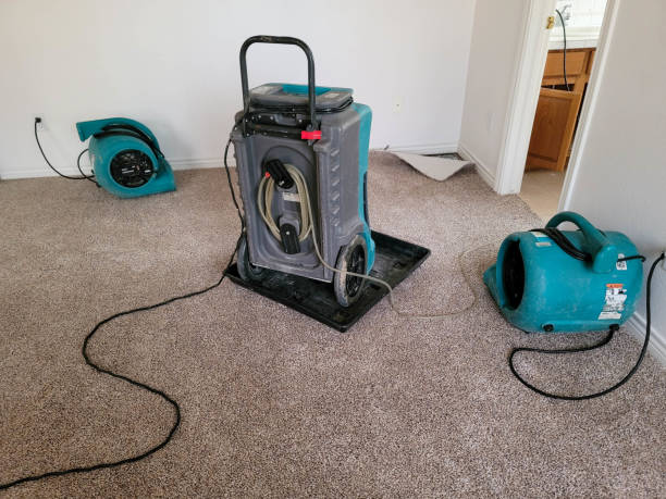 Best Local water damage restoration  in Shelburn, IN