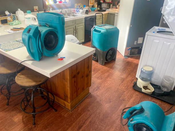 Best Commercial water damage restoration  in Shelburn, IN