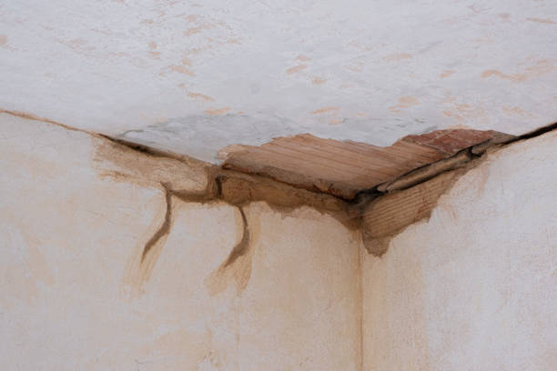 Best Water damage restoration near me  in Shelburn, IN