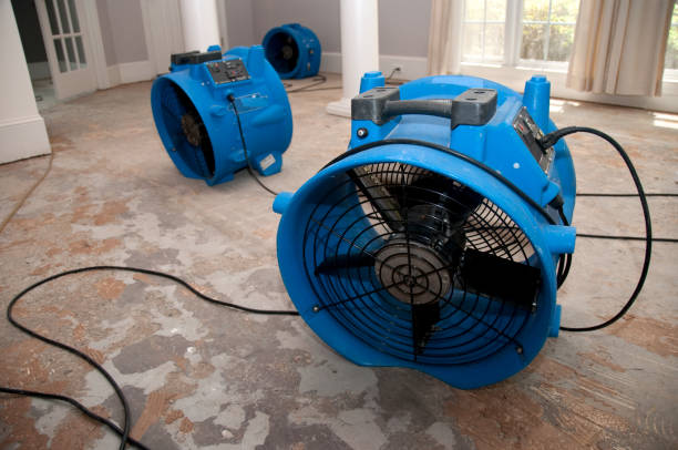 Best 24/7 water damage repair  in Shelburn, IN
