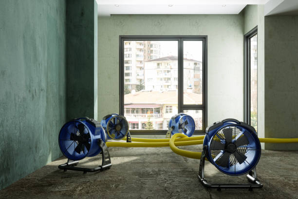 Best Residential water damage restoration  in Shelburn, IN