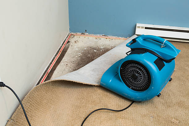 Best Water damage restoration near me  in Shelburn, IN